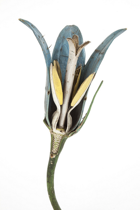 Fleur de campanule - modèle anatomique du Dr Auzoux - © Munaé