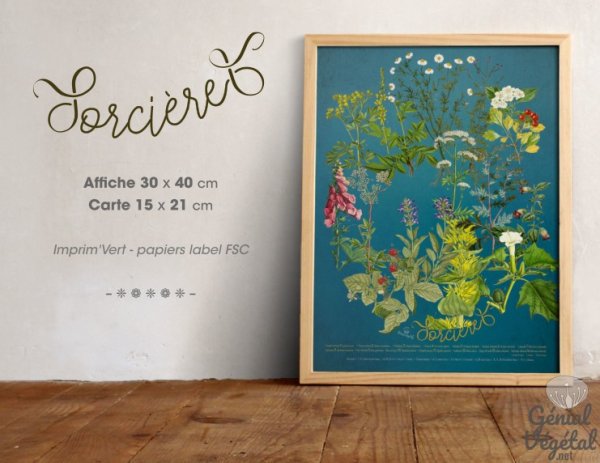 Affiche SorcièreS