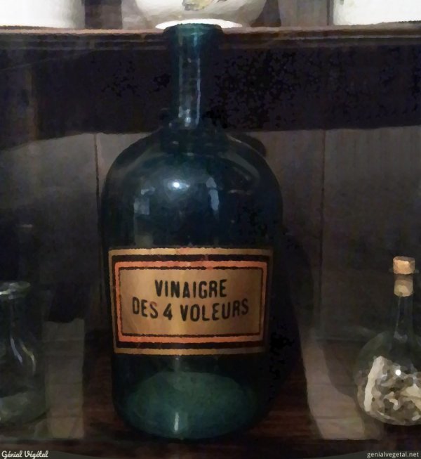 Flacon de vinaigre des 4 voleurs au Musée Paul Dupuy à Toulouse